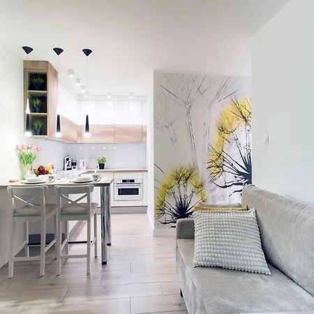 Mlynkowka Appartement