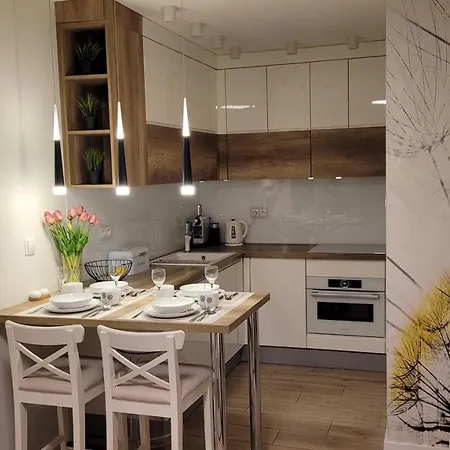 Apartamento Młynkówka *