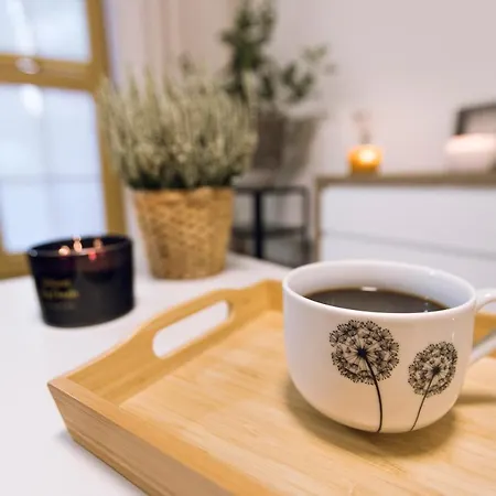 Apartamento Młynkówka *