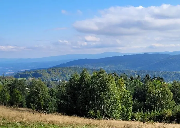 Młynkówka Apartament