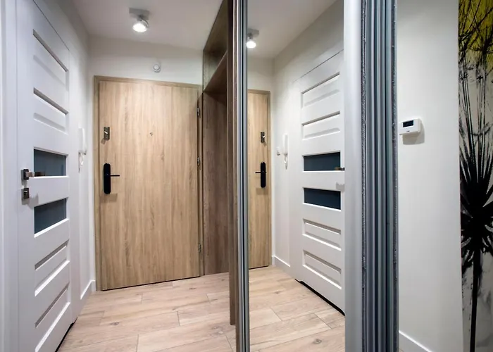 Apartament Młynkówka *