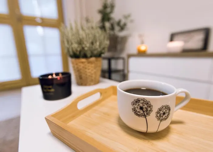 Apartament Młynkówka *